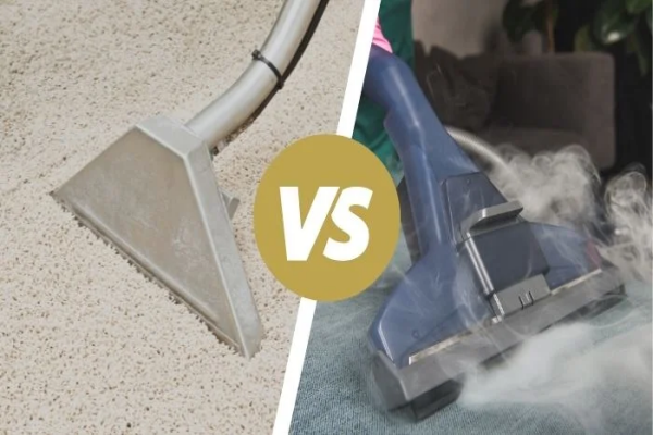 Carpet cleaner vs steamer