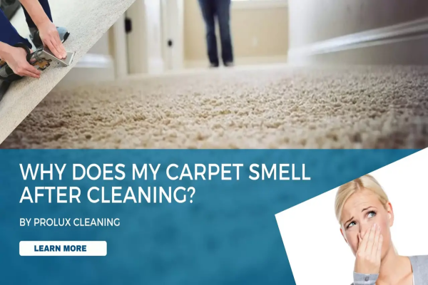 Carpet odor after steam cleaning