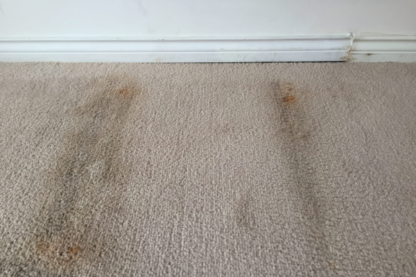 Dirty carpet after steam cleaning