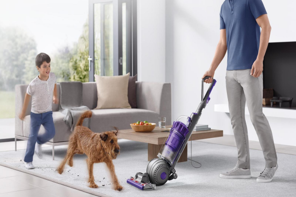 Dyson Ball Animal 2