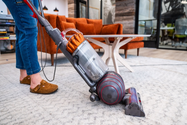 Dyson Ball Animal 3