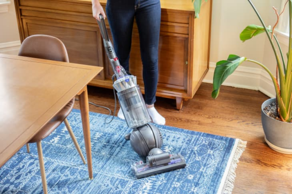 Dyson Ball Animal 3 Extra