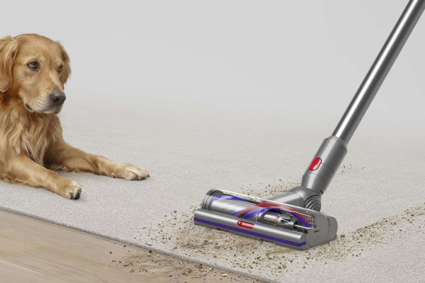 Dyson V15 Detect Pet