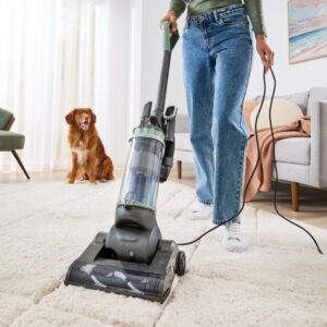 The 5 Best Upright Vacuums of 2025