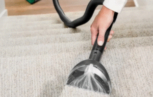 How Can a Carpet Cleaner Extend the Life of Your Carpets?