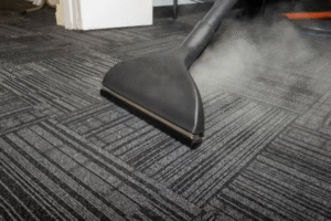 steam cleaners