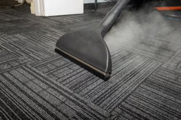 steam cleaners