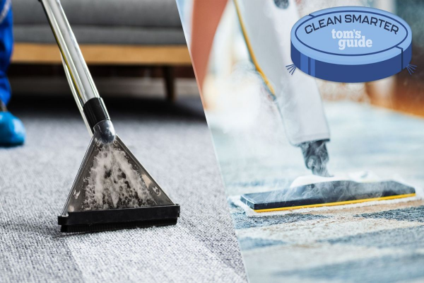 Shampoo vs Steam Clean