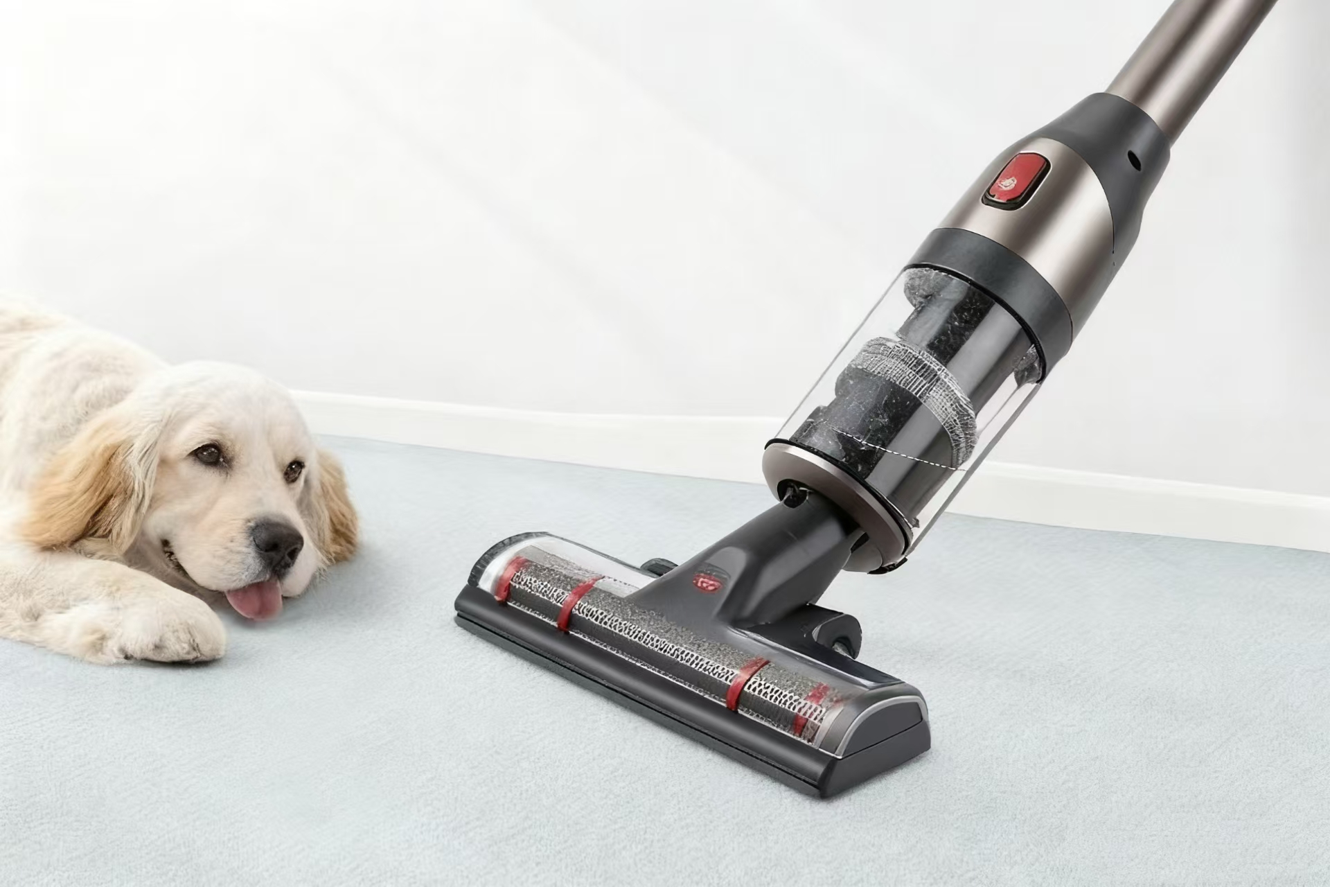 Top rated pet hair vacuums