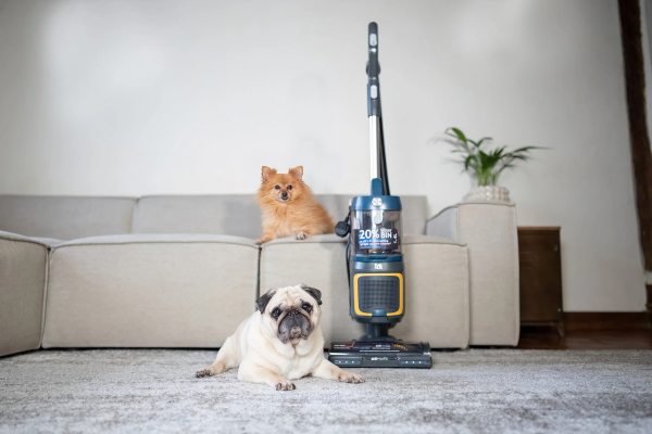 Upright Vacuums for Pet Owners
