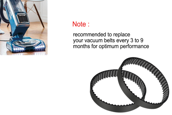 Vacuum Belt Lifespan