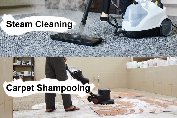 carpet cleaning shampoo vs steam