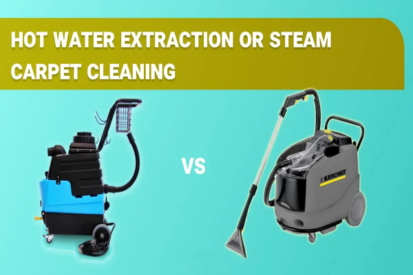 steam cleaner vs hot water extractor