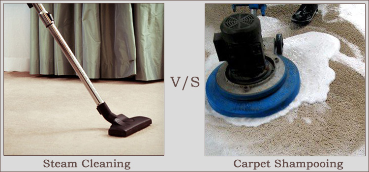 Is it better to shampoo or steam clean carpets?