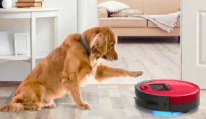 Are Robot Vacuums Powerful Enough for Pet Hair?