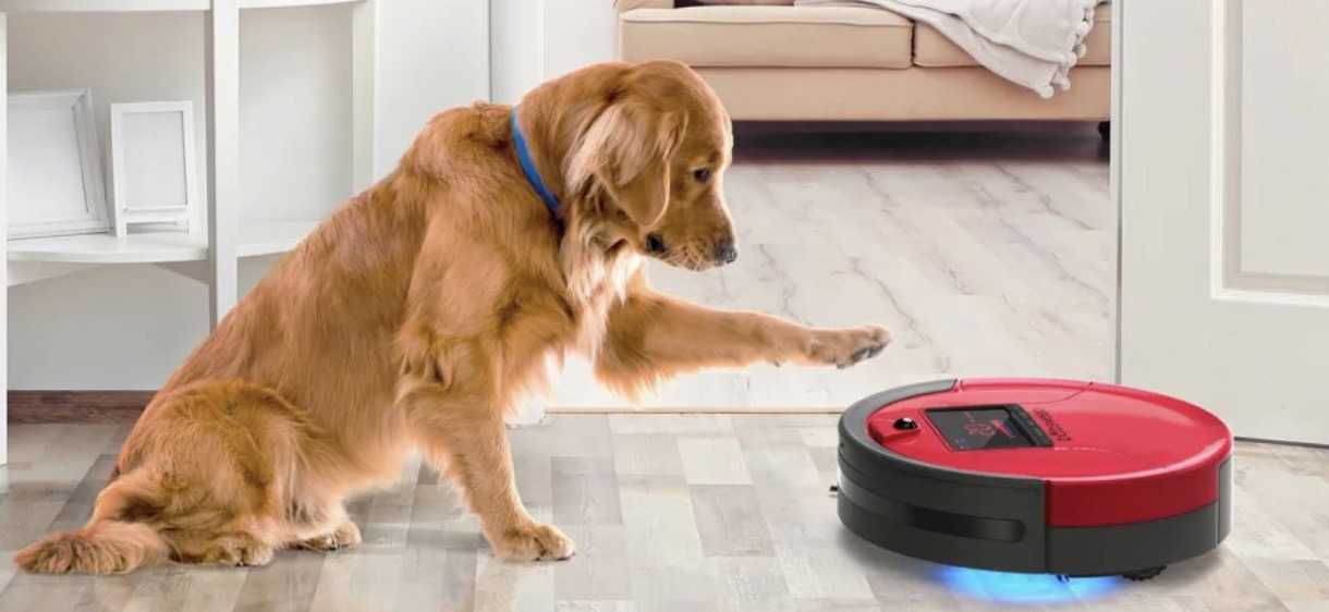 Do Robot Vacuums Really Remove Dog Hair?