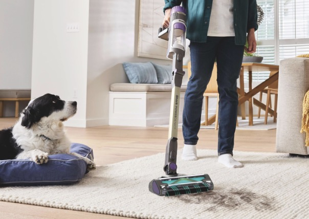 How Often Should You Clean Floors with Pets?
