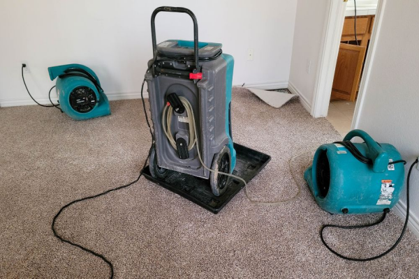 Drying Wet Carpet