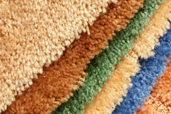 Frieze Carpet Vacuum