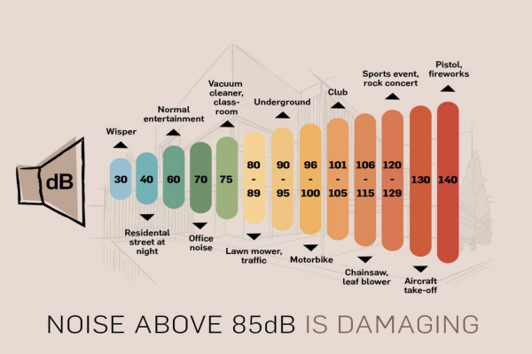 Home Noise Visualization
