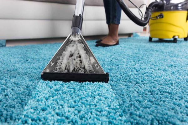 Using Wet-Dry Vacuum on Carpet