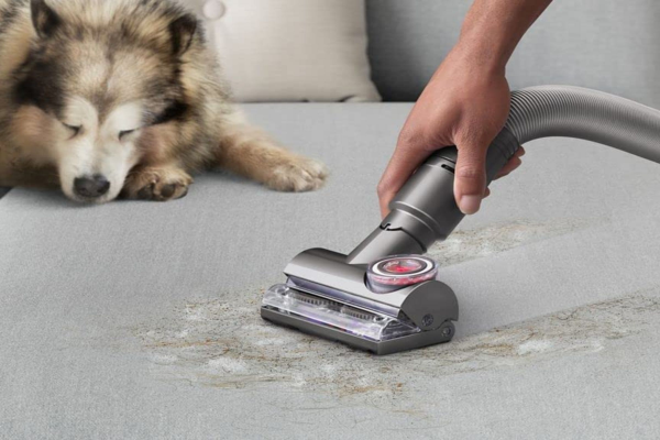 Vacuum for Pet Hair