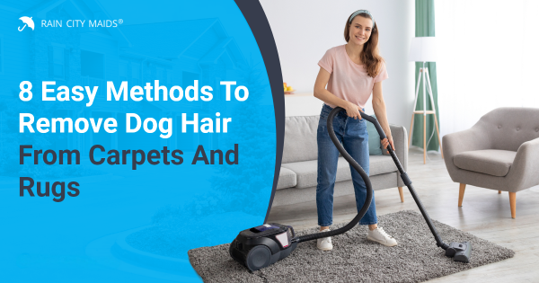 Can You Vacuum Hair Off a Dog?