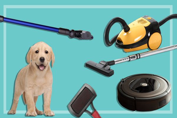 best vacuum attachments for pet hair